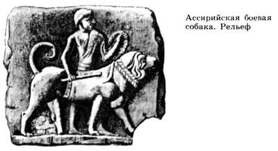 027-3.jpg