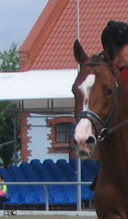0300ce273d87.jpg