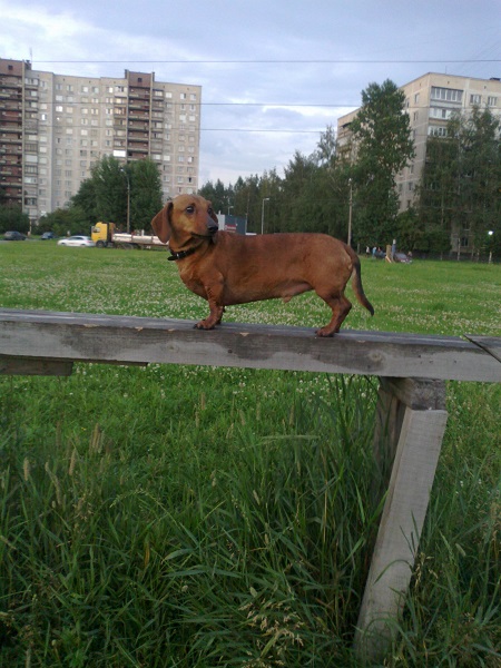 030720164123_1.jpg