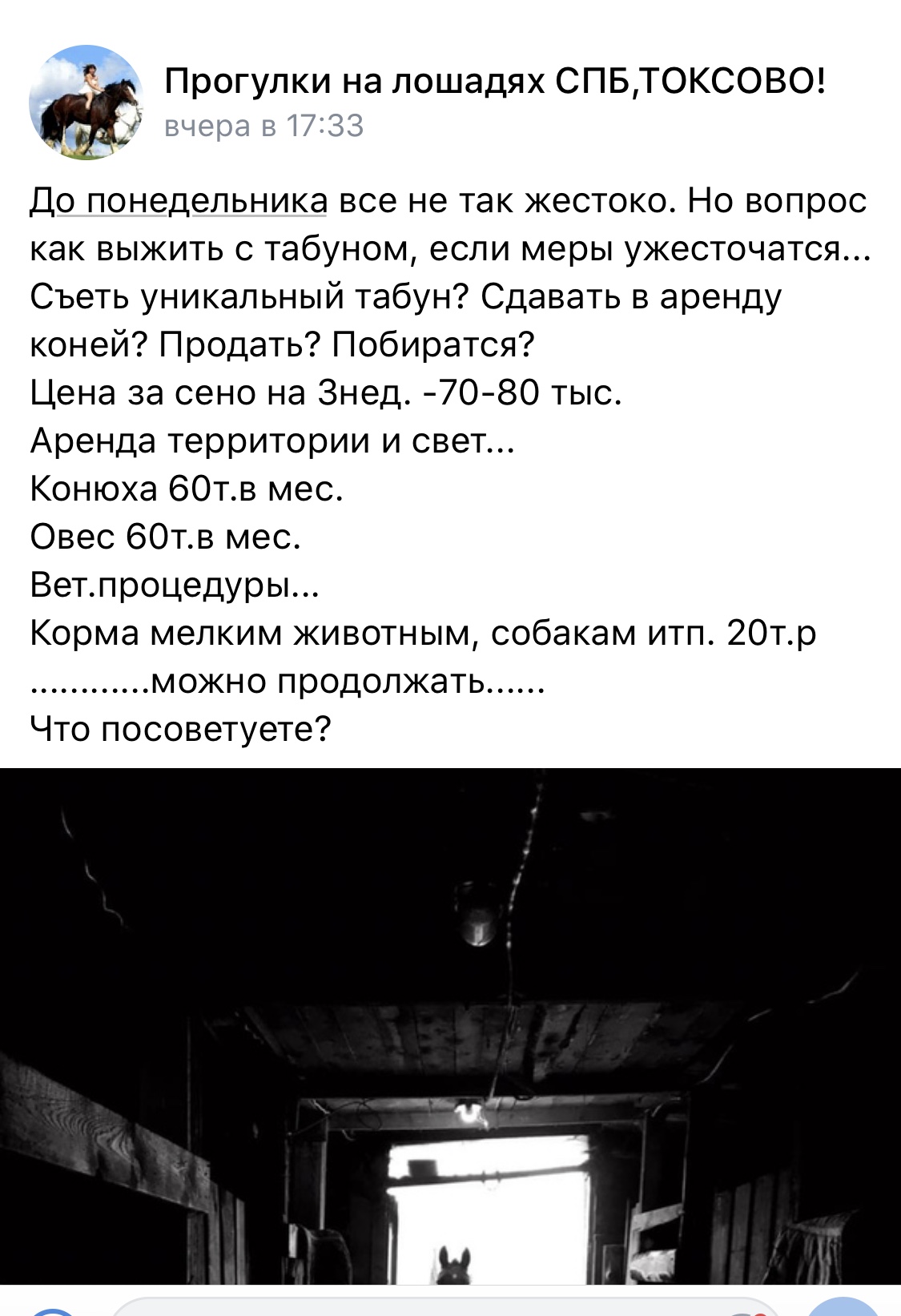 06C14066-FB66-4976-A39E-1105CCB25BB1.jpeg