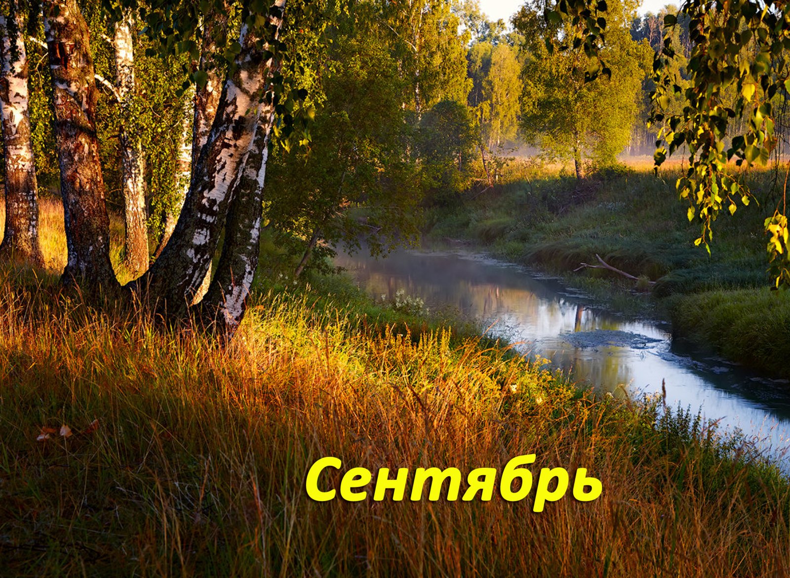 09 copy.jpg