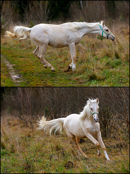 0946_k_maksimu.jpg