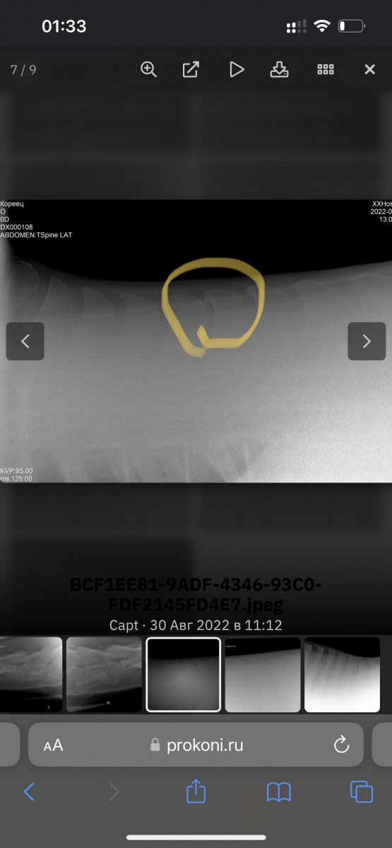 09A1F305-4697-40A3-BB8C-BD72D190C459.jpeg