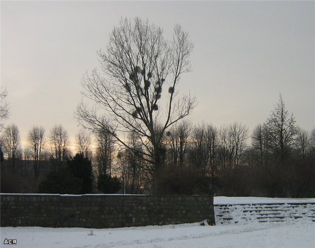 0bb196fd11d1.jpg