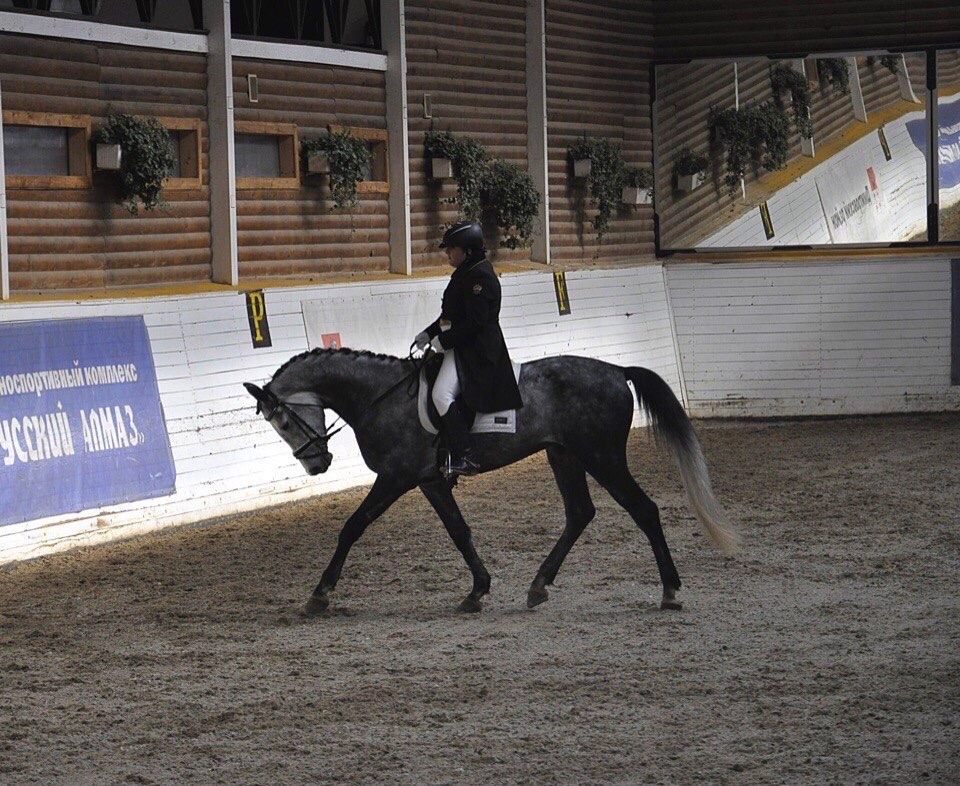 0D370284-AEA9-4986-B7B5-62051D02B342.jpeg
