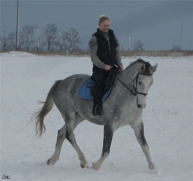 0d97448e40ab.jpg