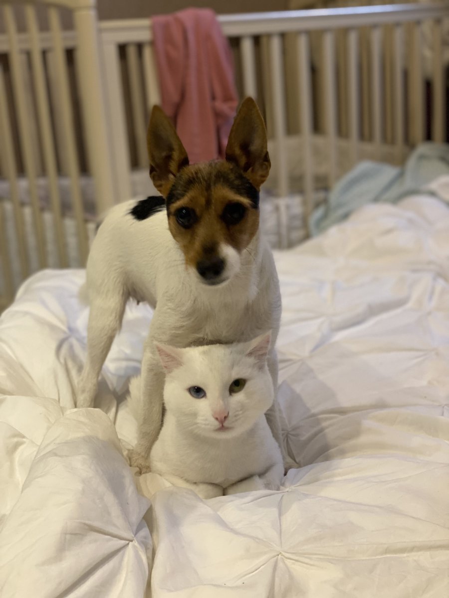0F182F04-6F09-42EF-A239-8F2B5EABA7EF.jpeg