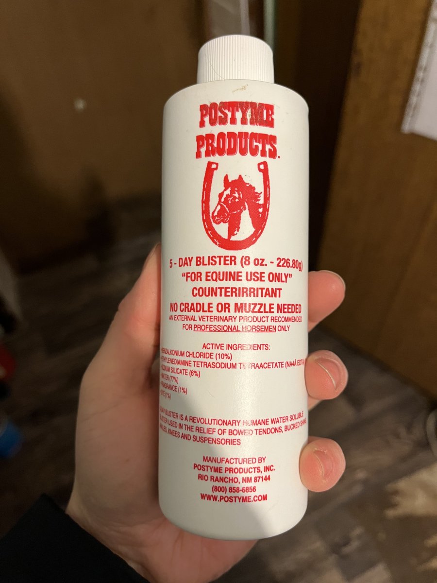 0F6F0275-CA51-43A2-9DEC-E0F75E45A211.jpeg