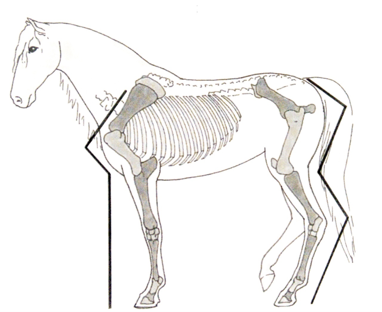 0pt-qRdMBCg.jpg