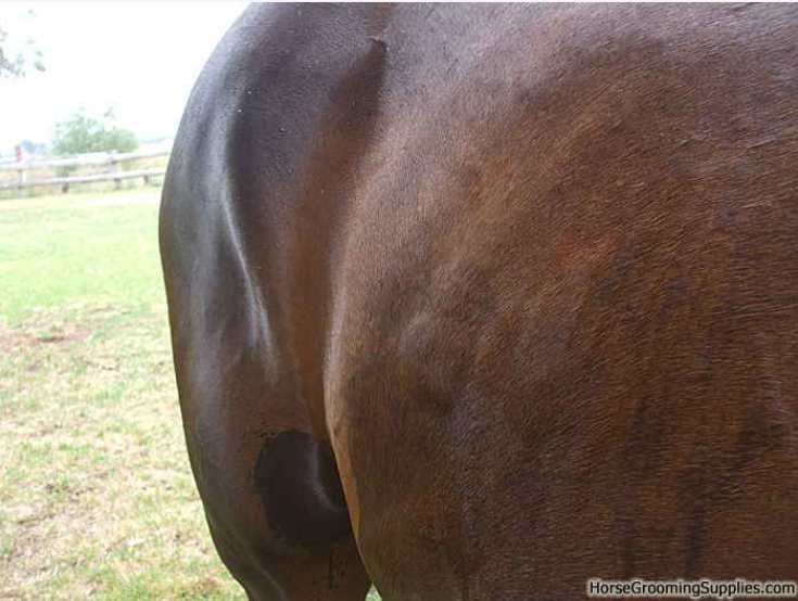 10-Aug-18 12-33-12 PM.png