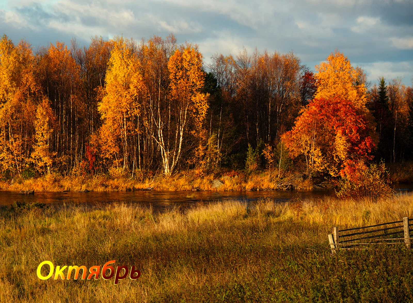 10 copy.webp