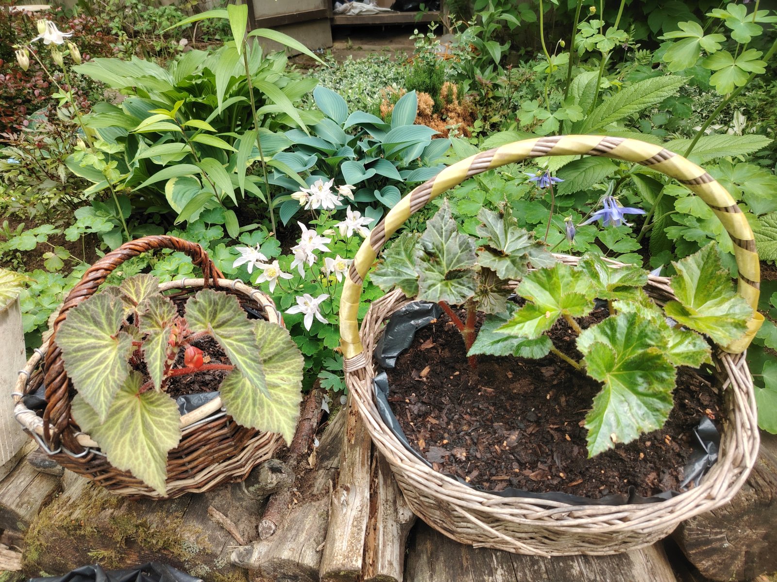 1000026936.jpg