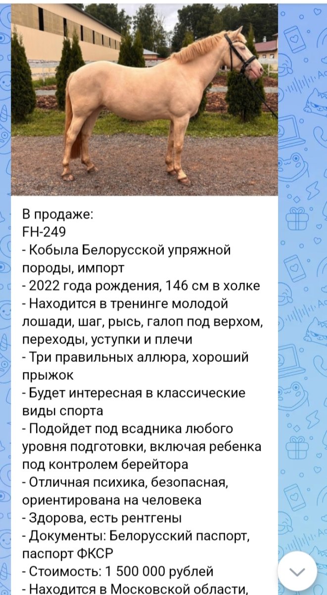1000029076.jpg
