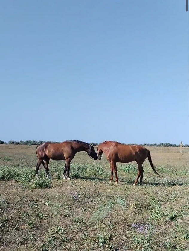 1000029386.jpg