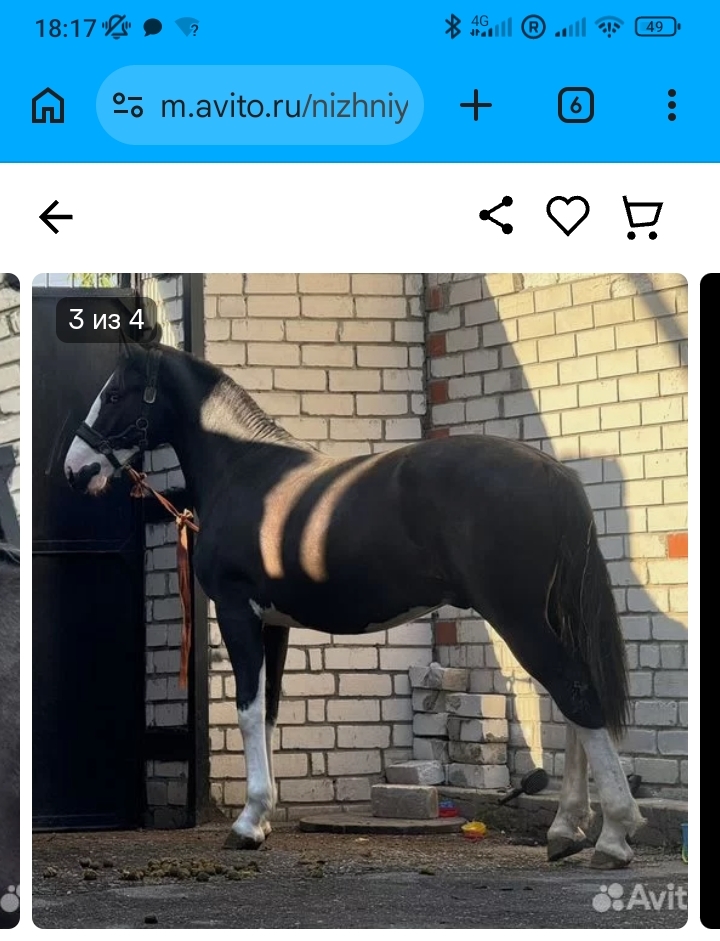 1000029831.jpg