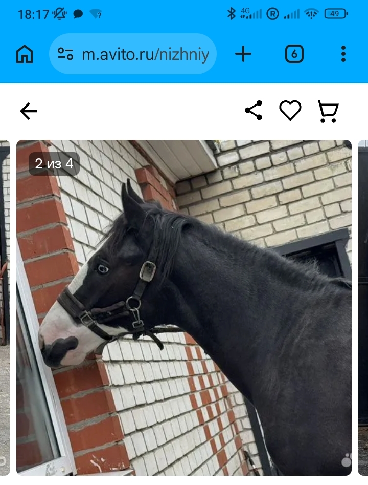 1000029832.jpg