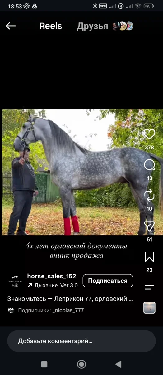 1000030260.webp