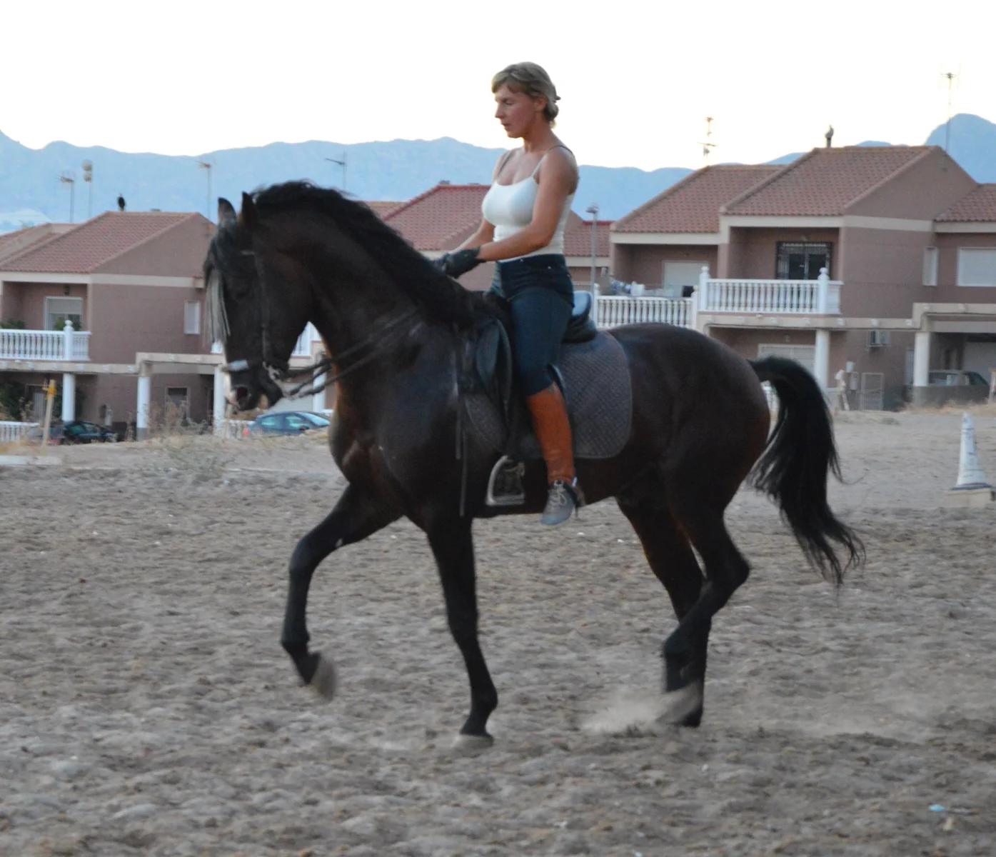 1000030319.webp