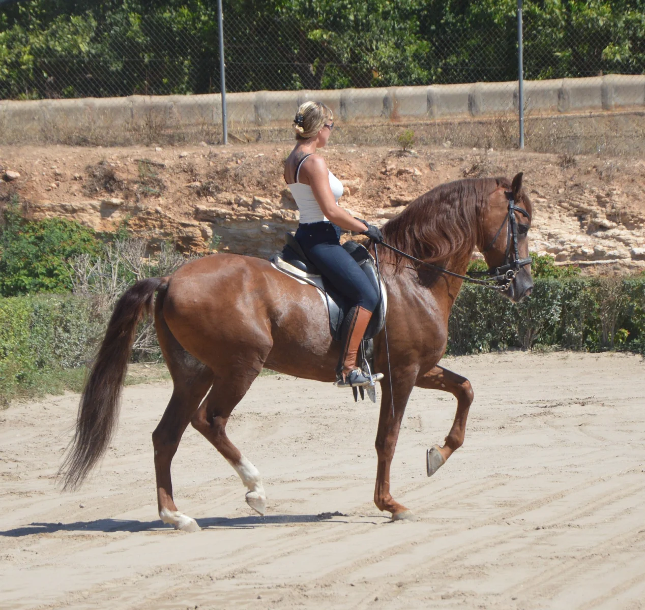 1000030324.webp