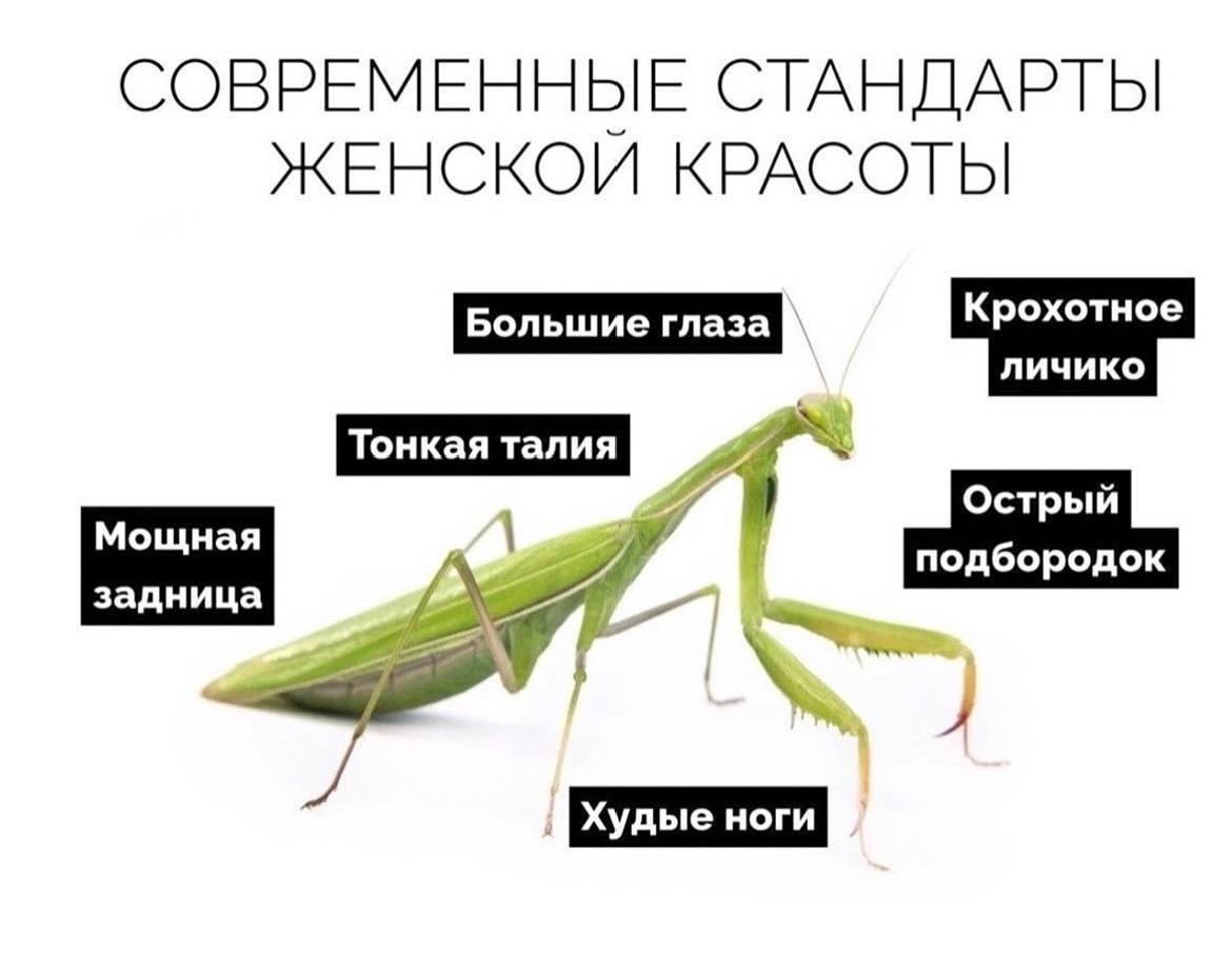 1000033316.jpg