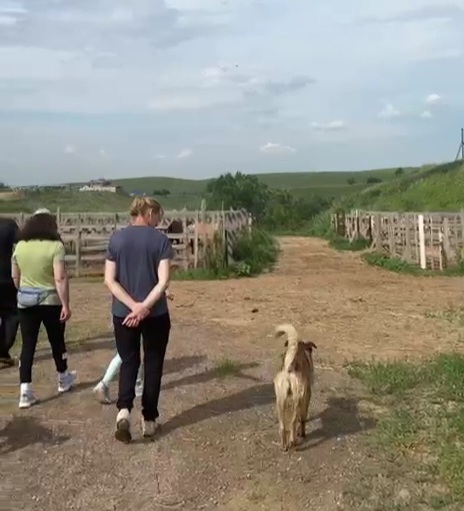 1000071910.jpg