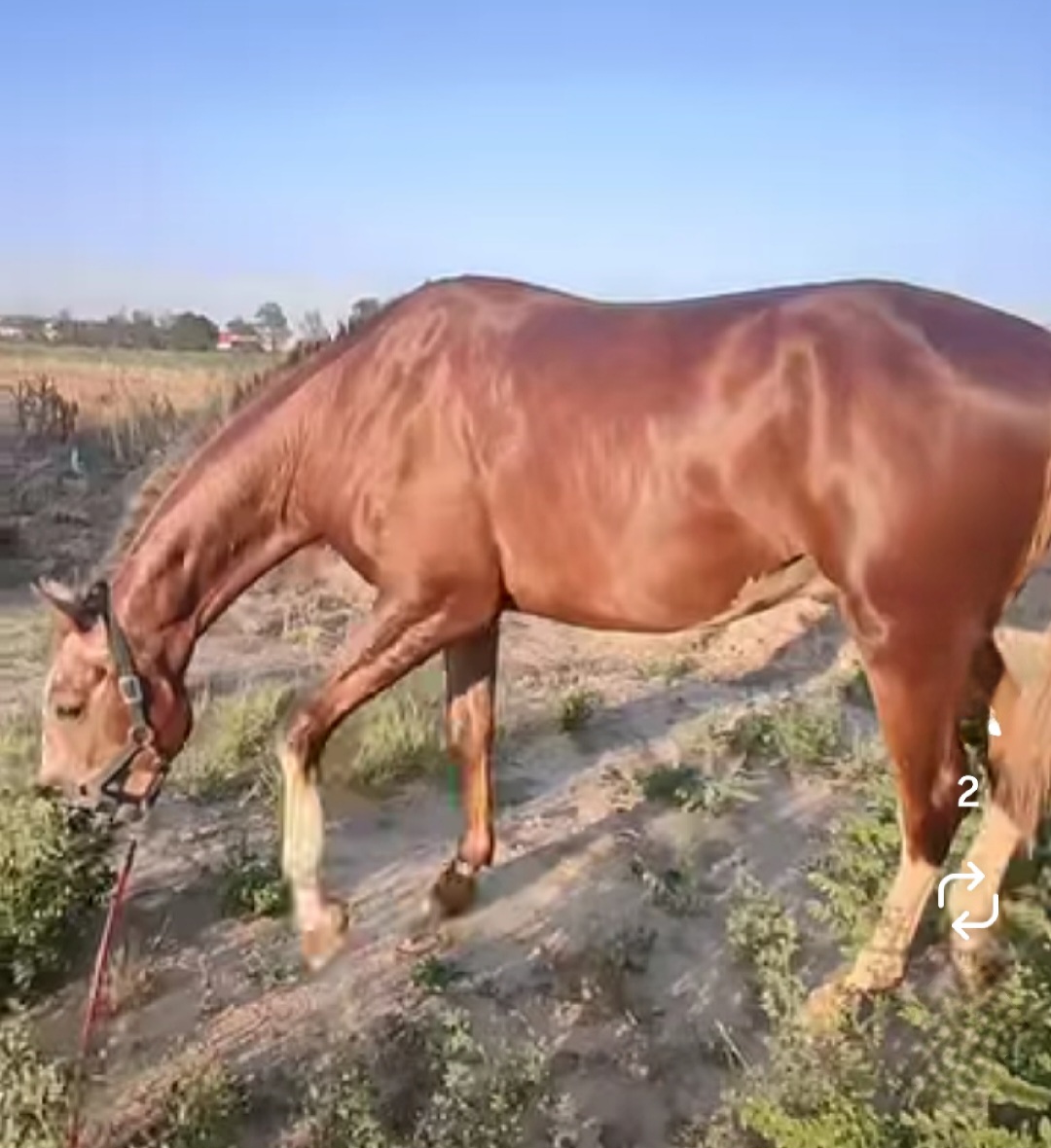 1000075761.jpg