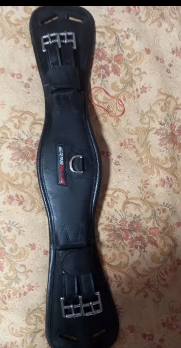 1000076462.jpg