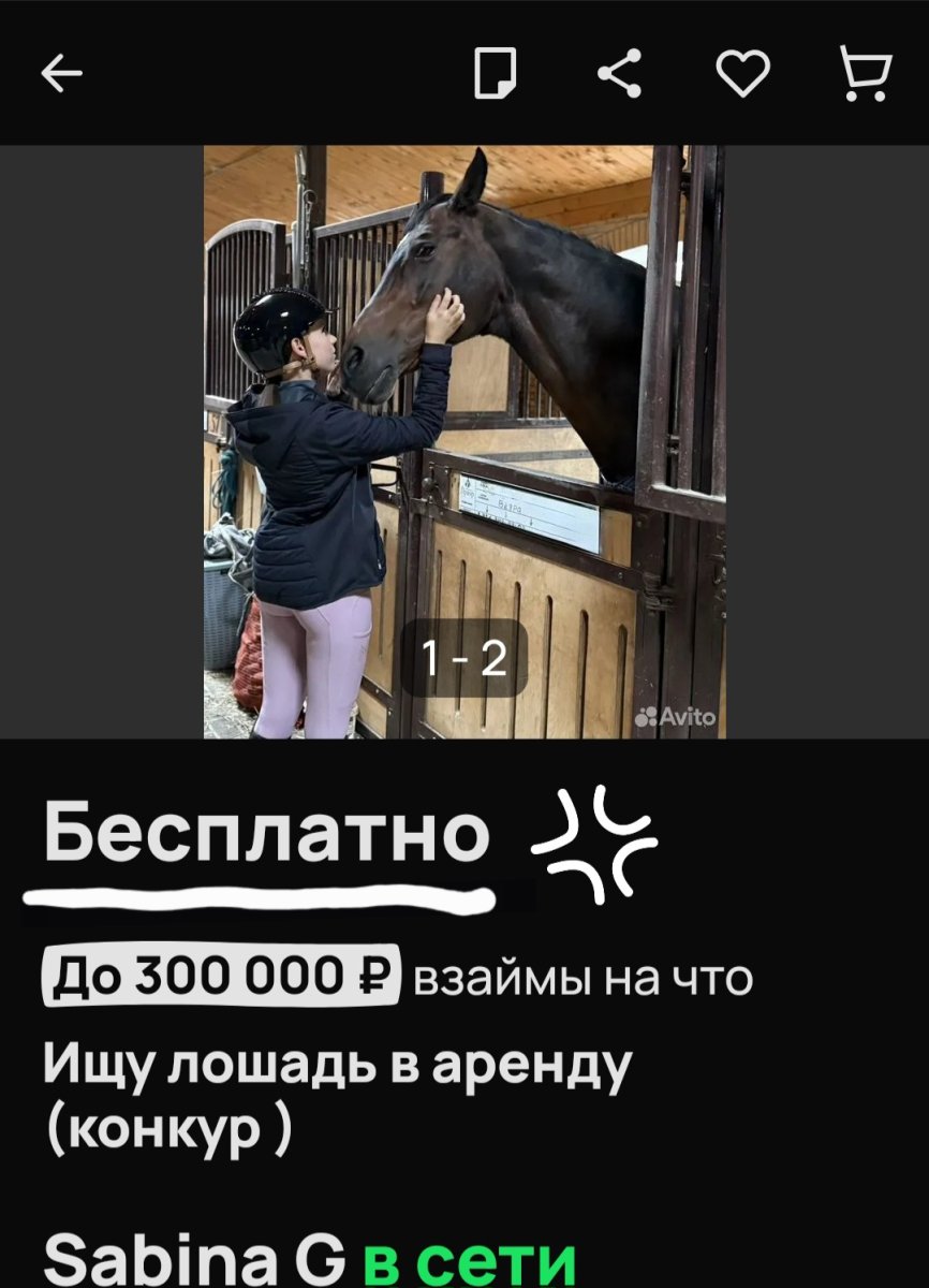1000097368.jpg