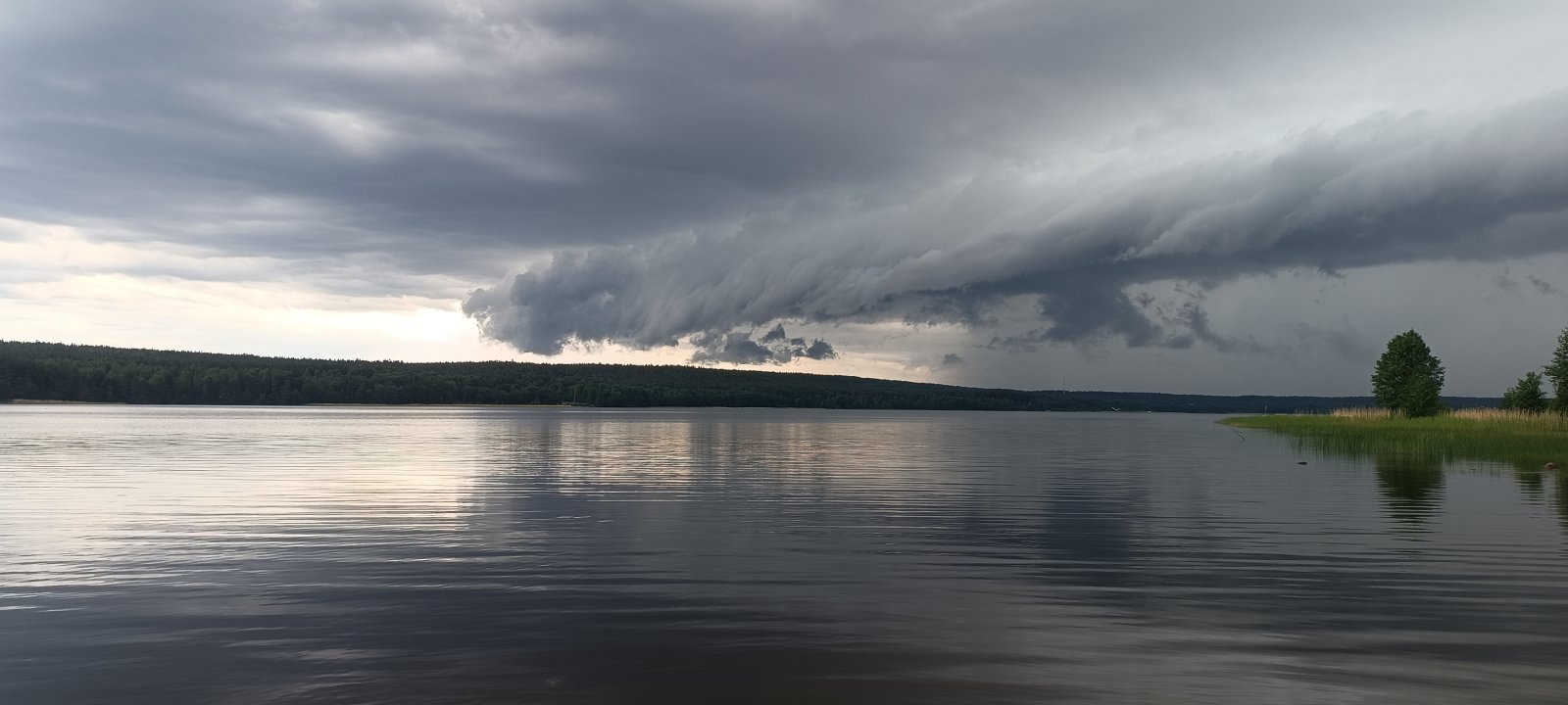 1000109287.jpg