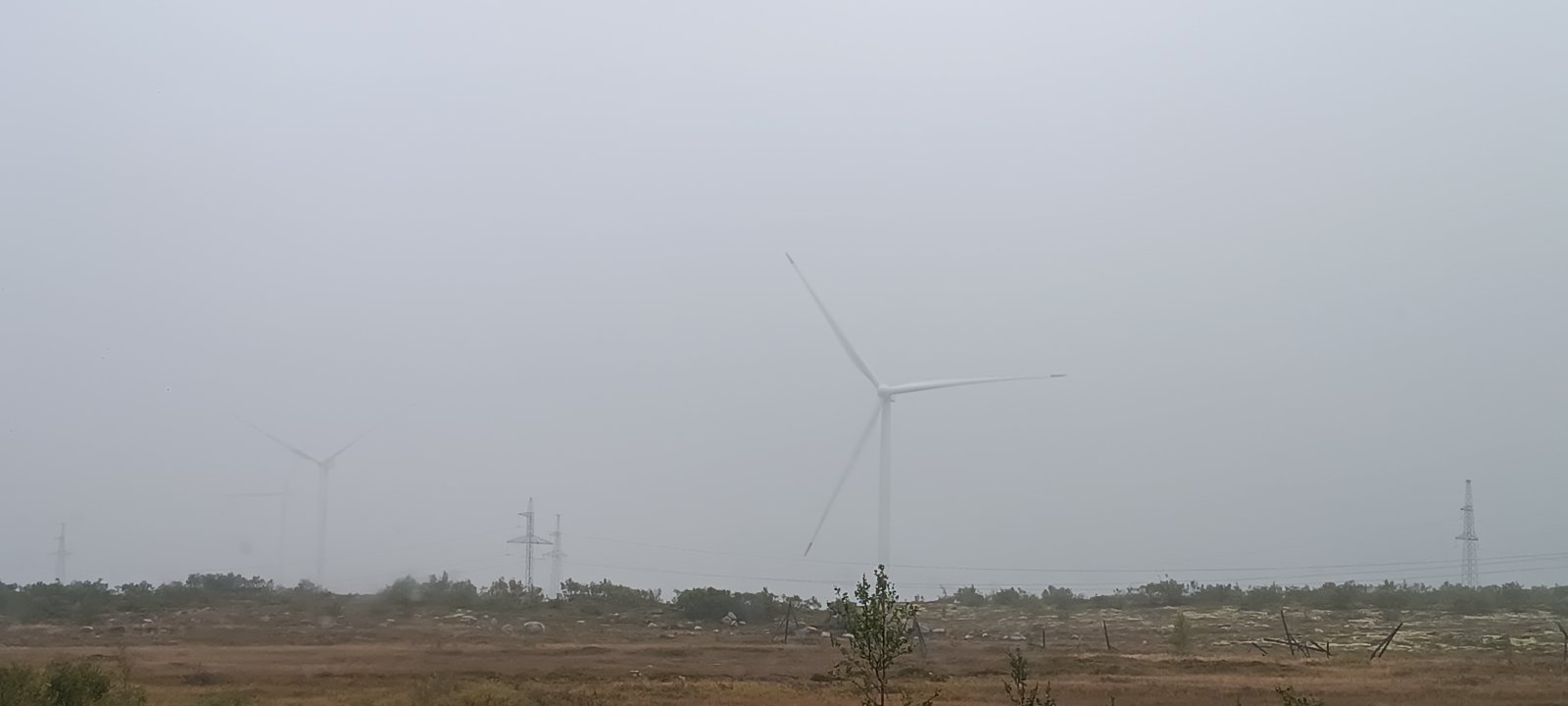 1000113119.jpg