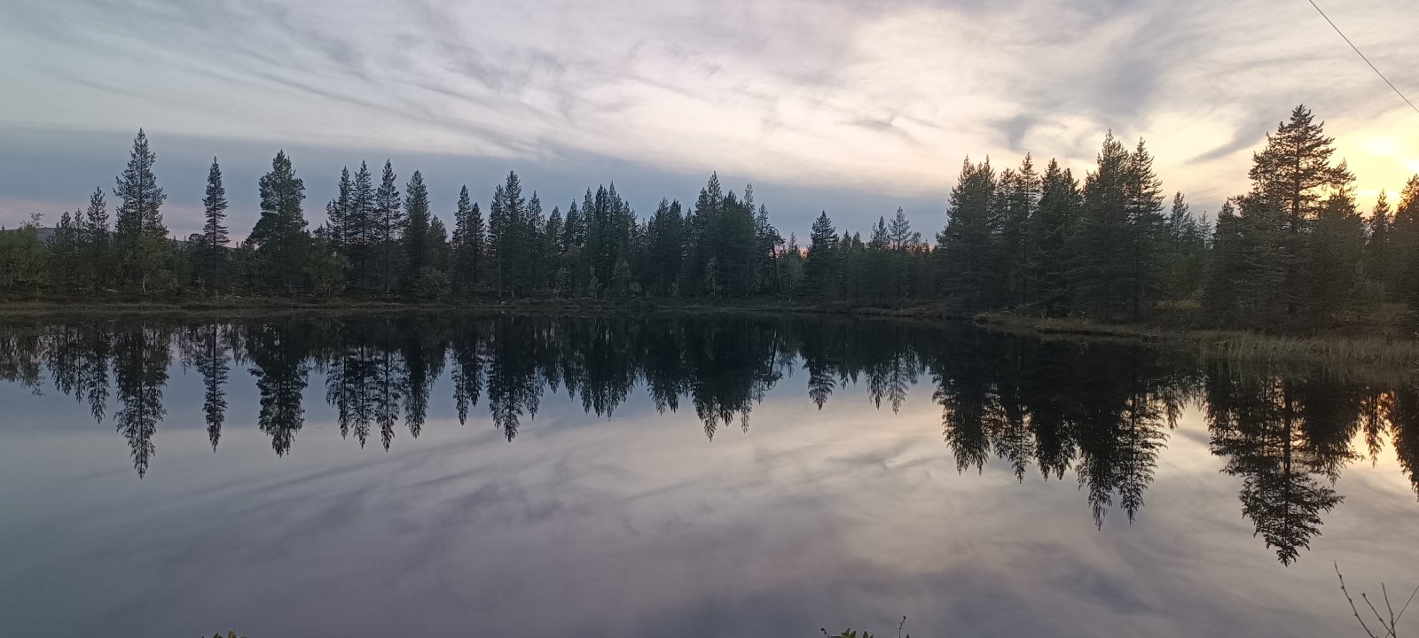 1000113484.jpg