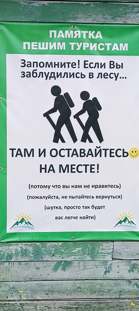 1000113579.webp