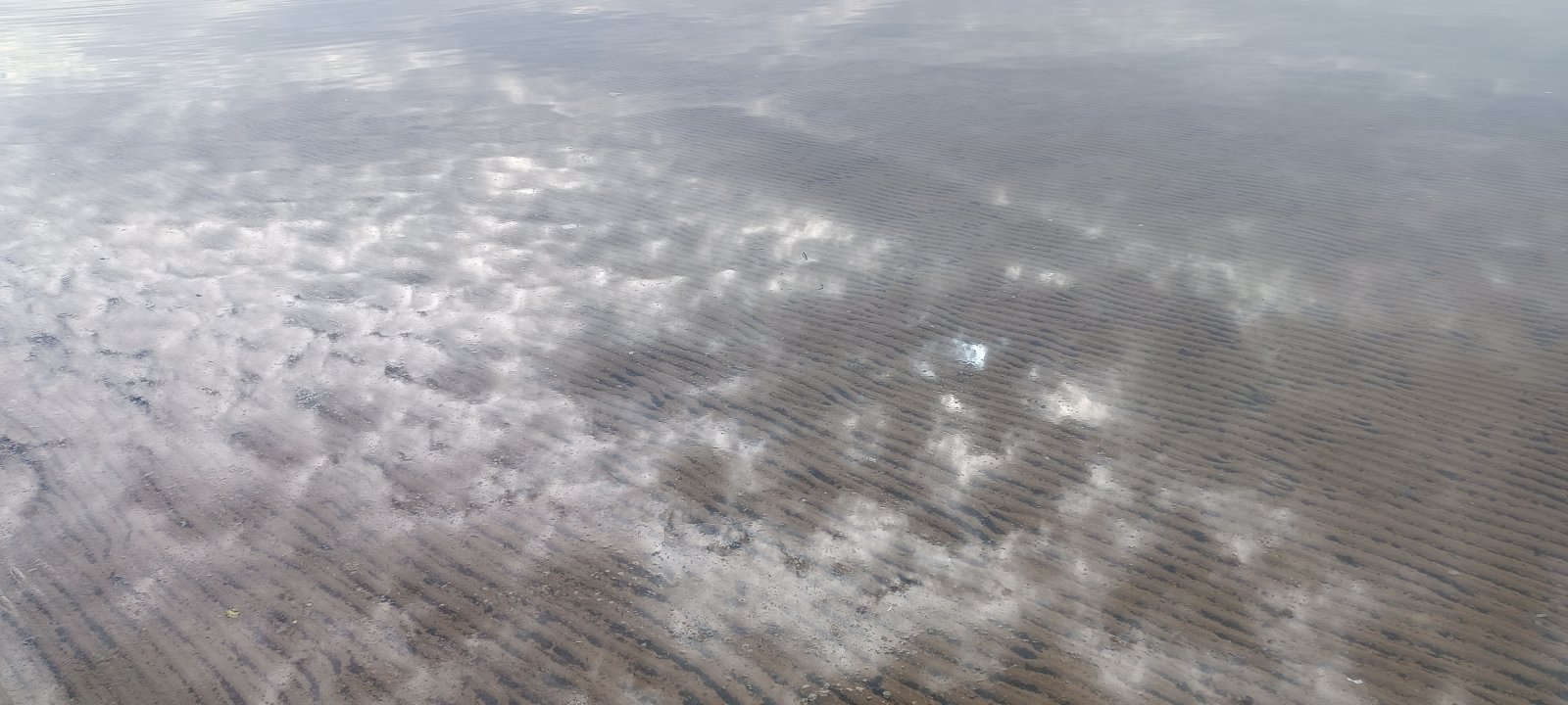 1000114425.jpg