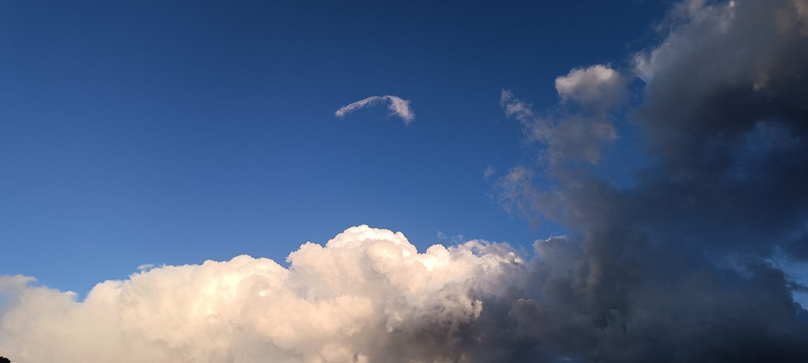 1000114570.jpg