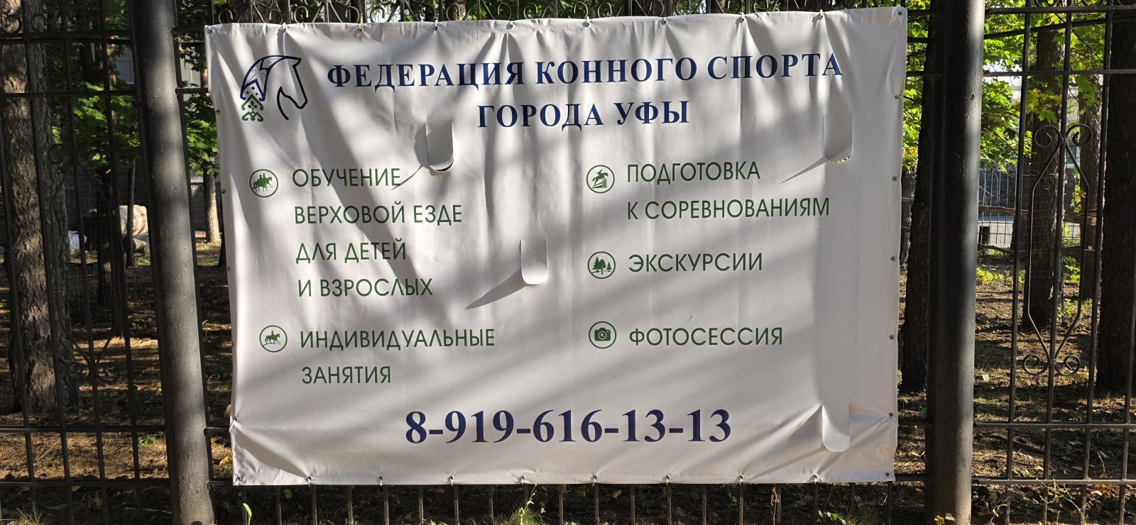 1000119307.jpg