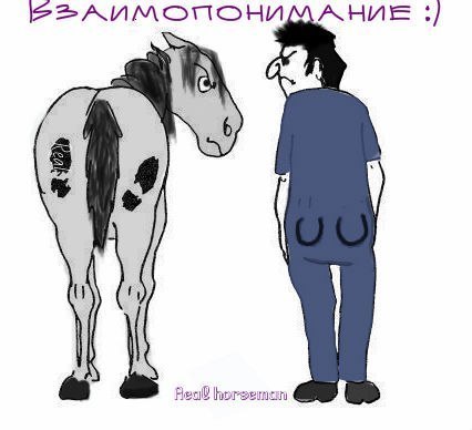 1000124028.jpg