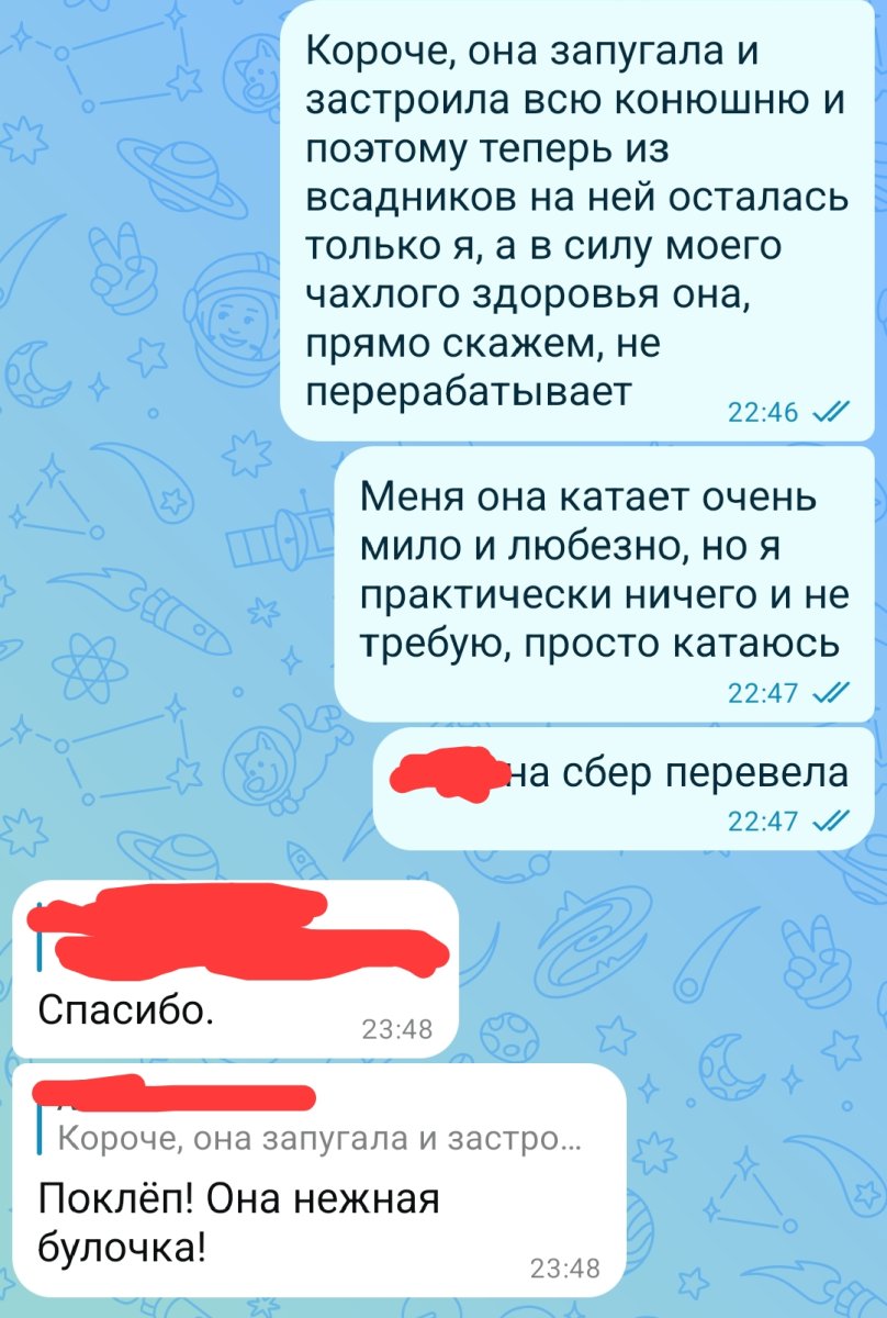 1000168591.jpg