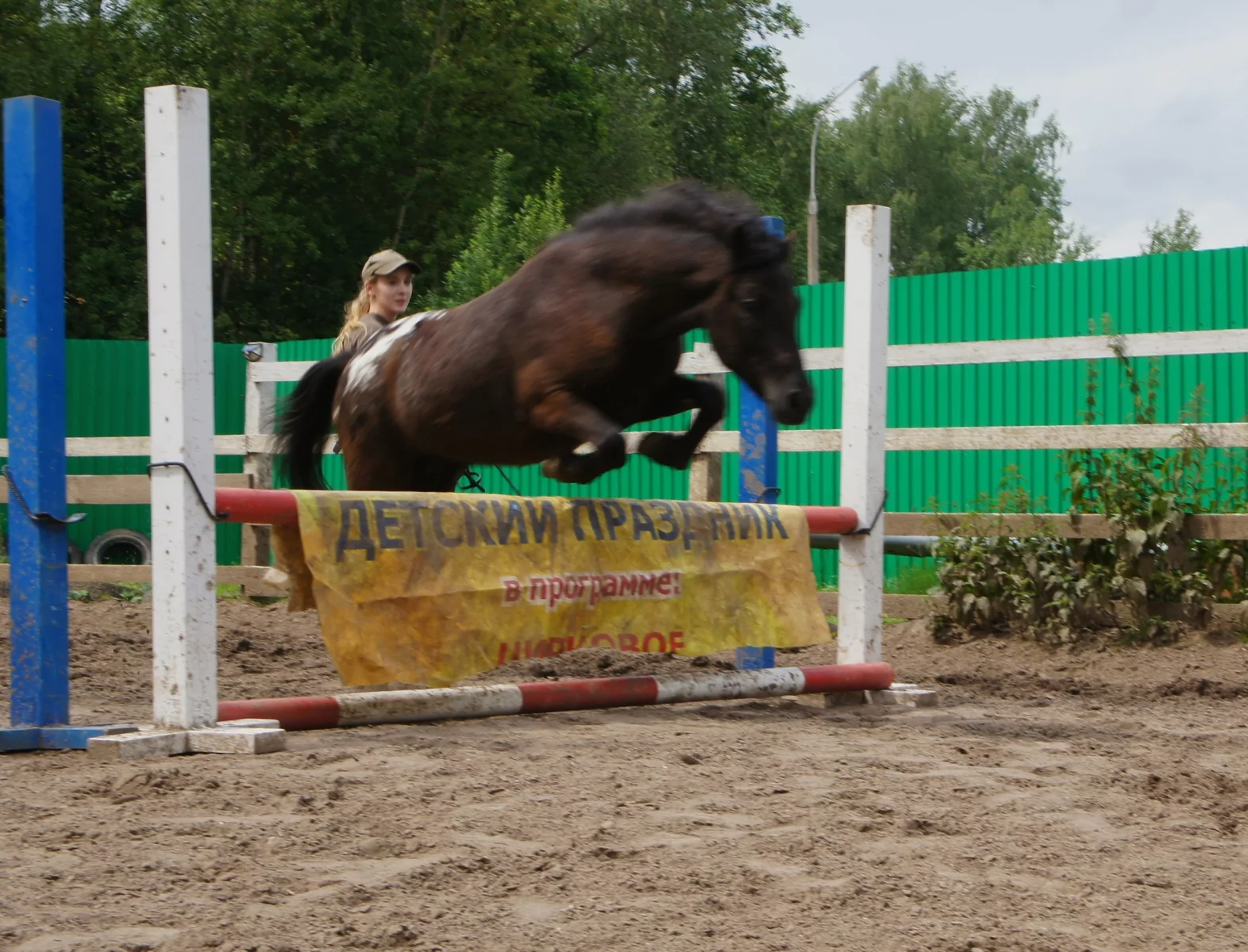 1000209905.webp