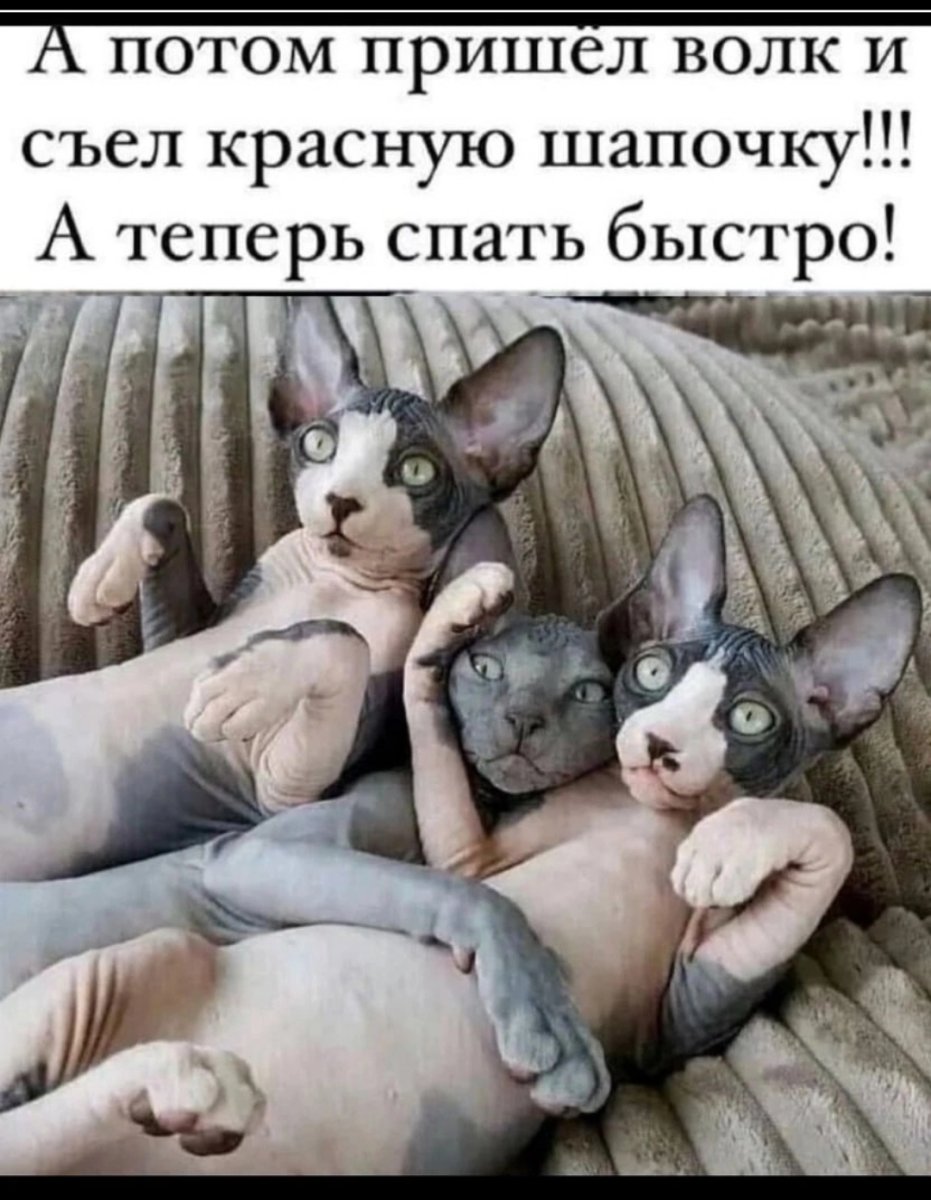 1000223298.jpg