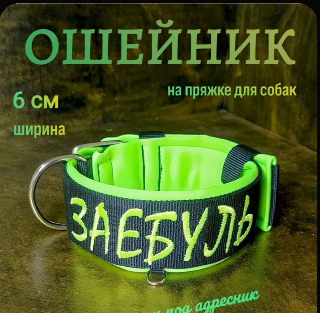 1000223782.jpg