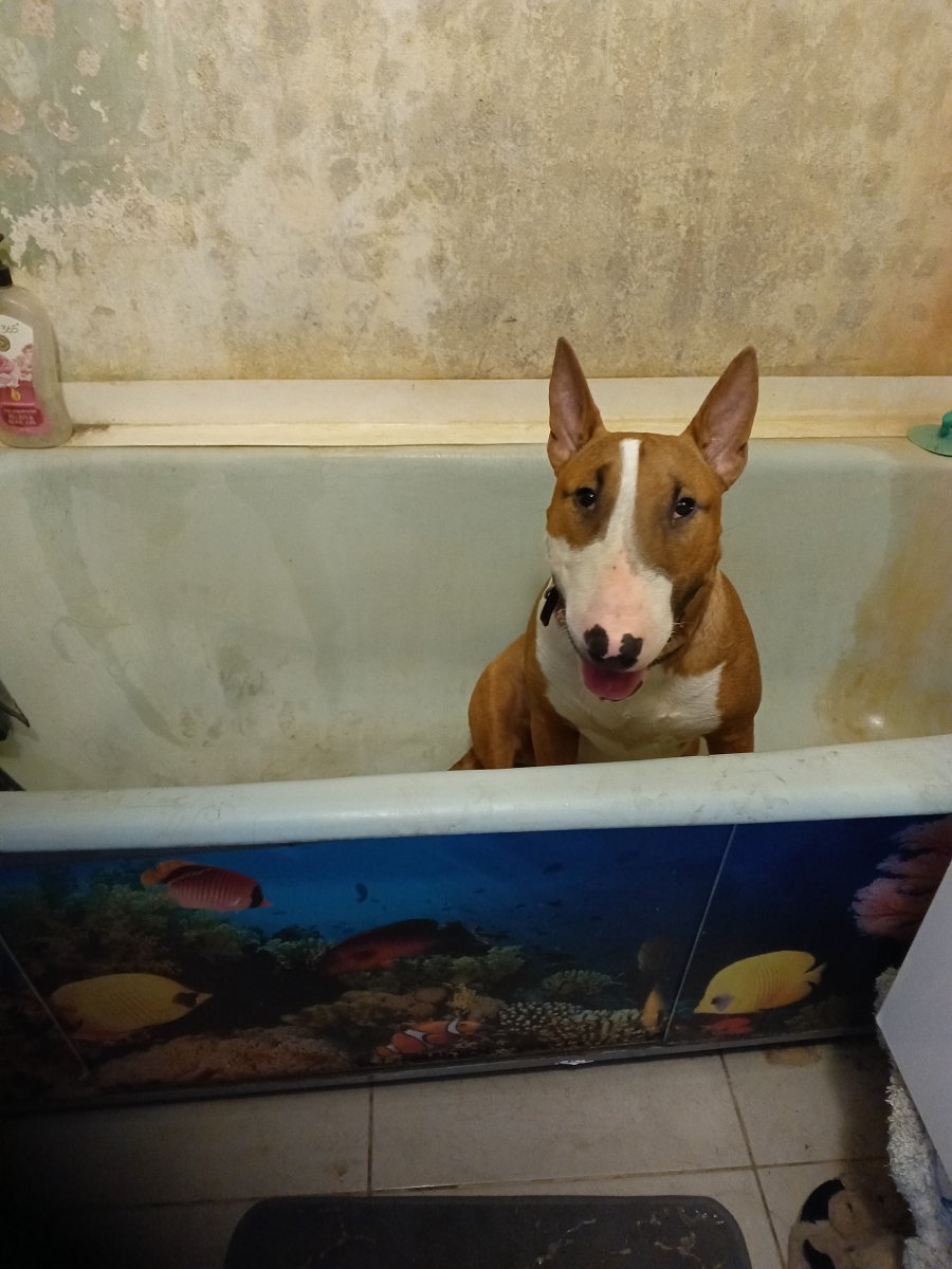 1000223893.jpg