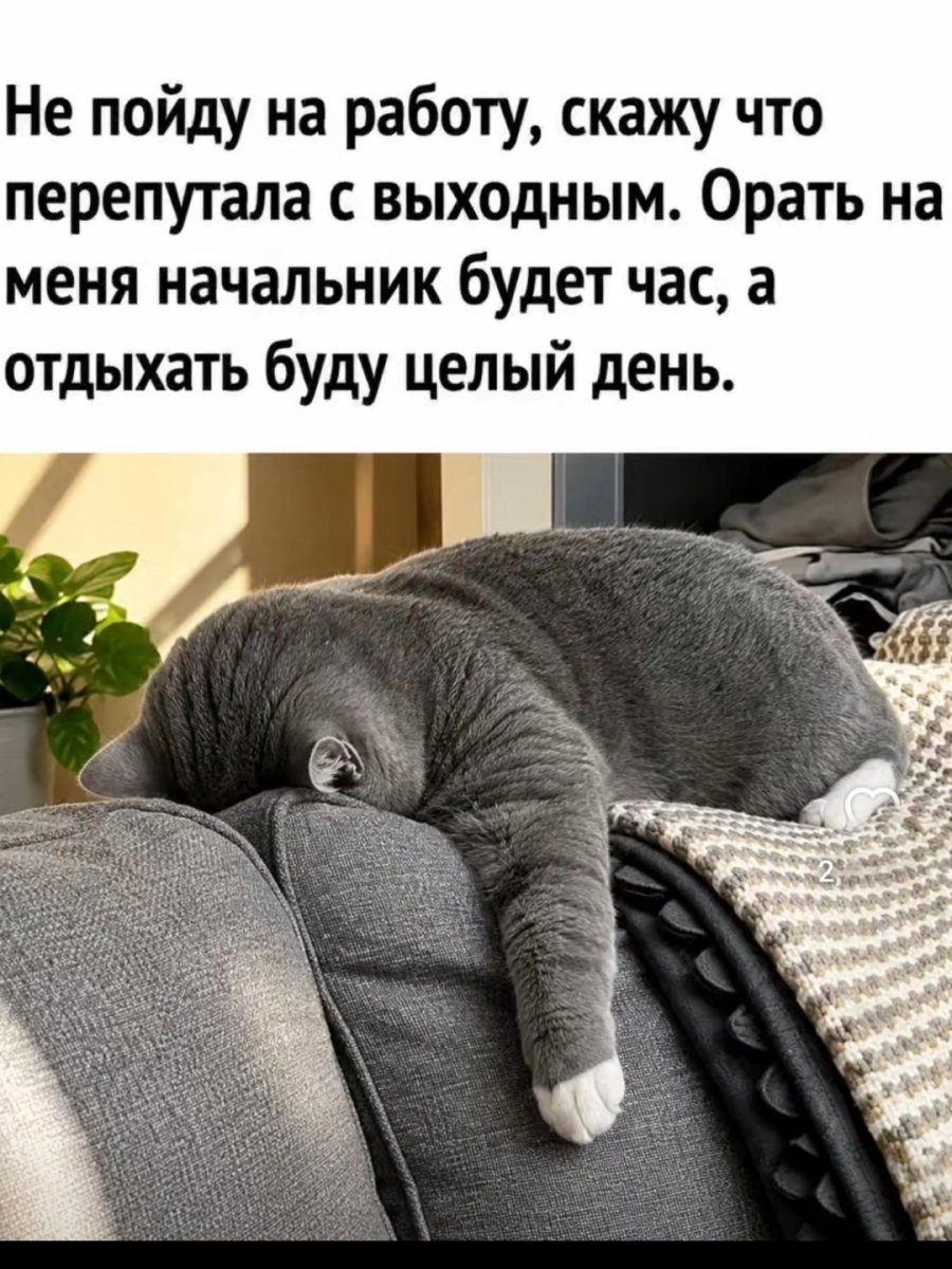 1000224247.jpg