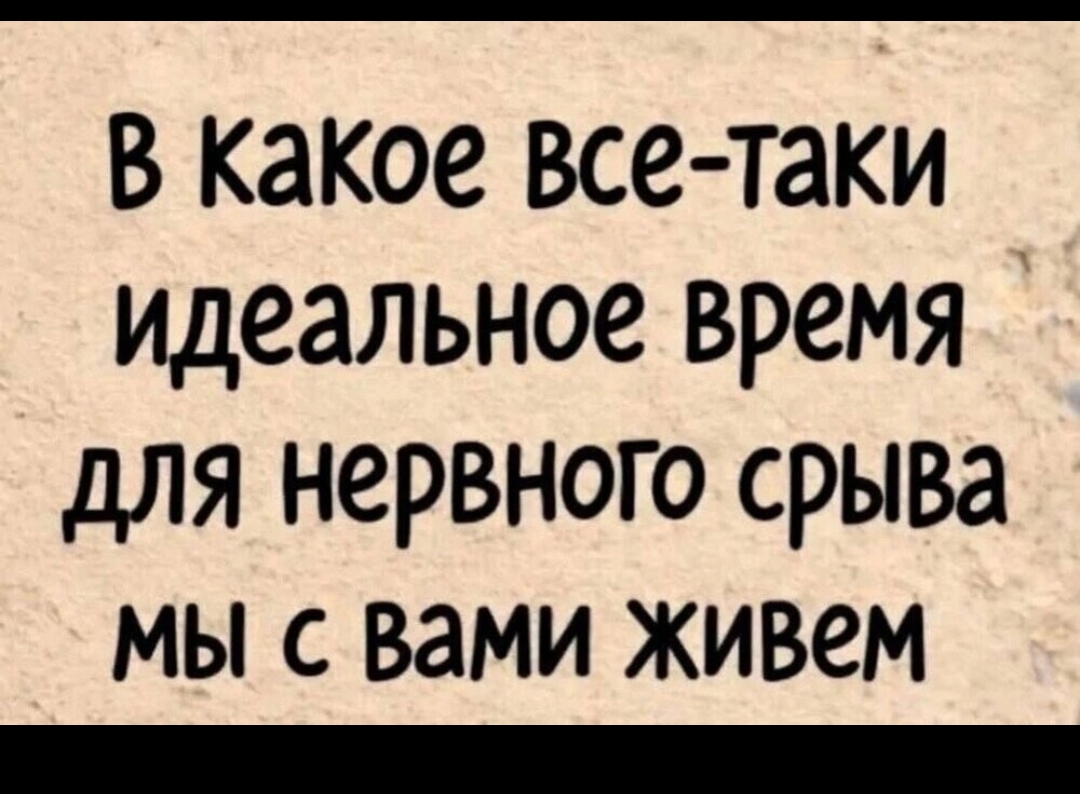 1000225383.jpg