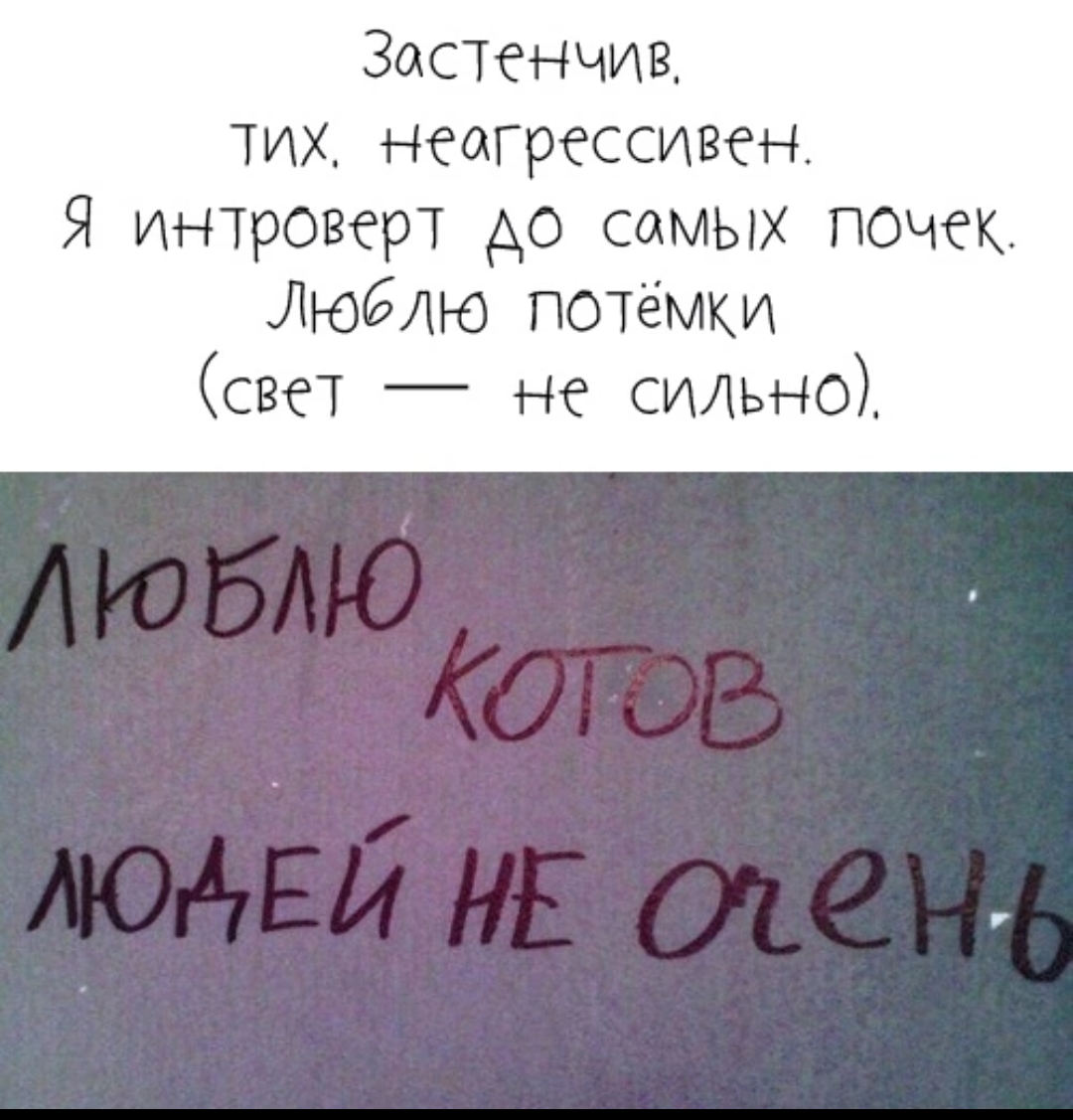 1000225750.jpg