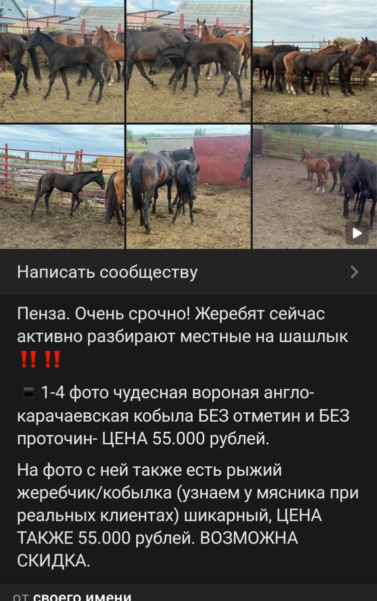 1000226796.jpg