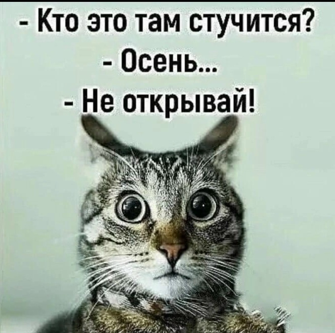 1000226802.jpg