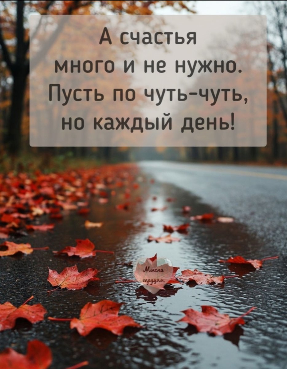 1000231099.jpg