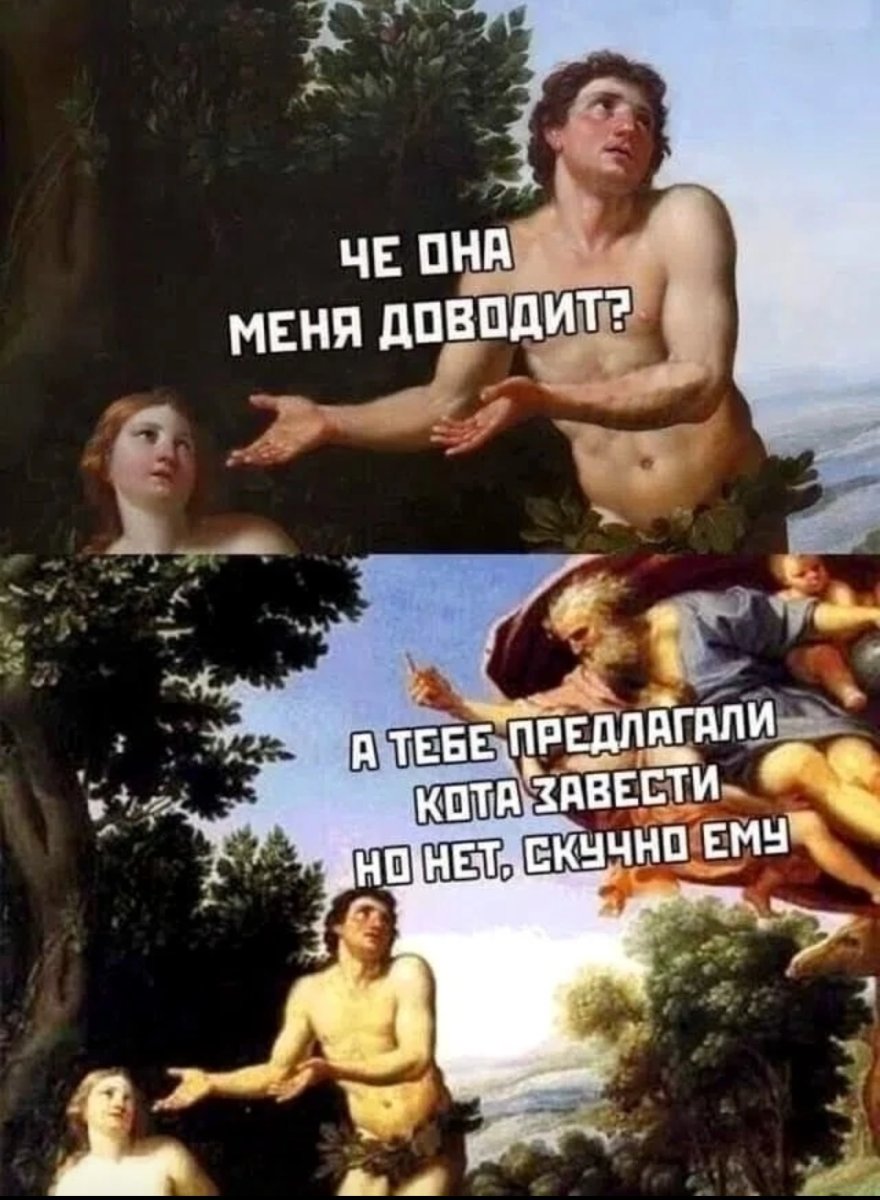 1000231147.jpg