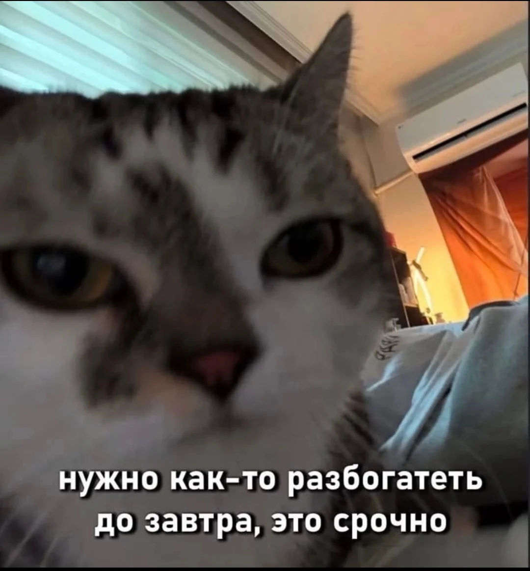 1000231504.webp