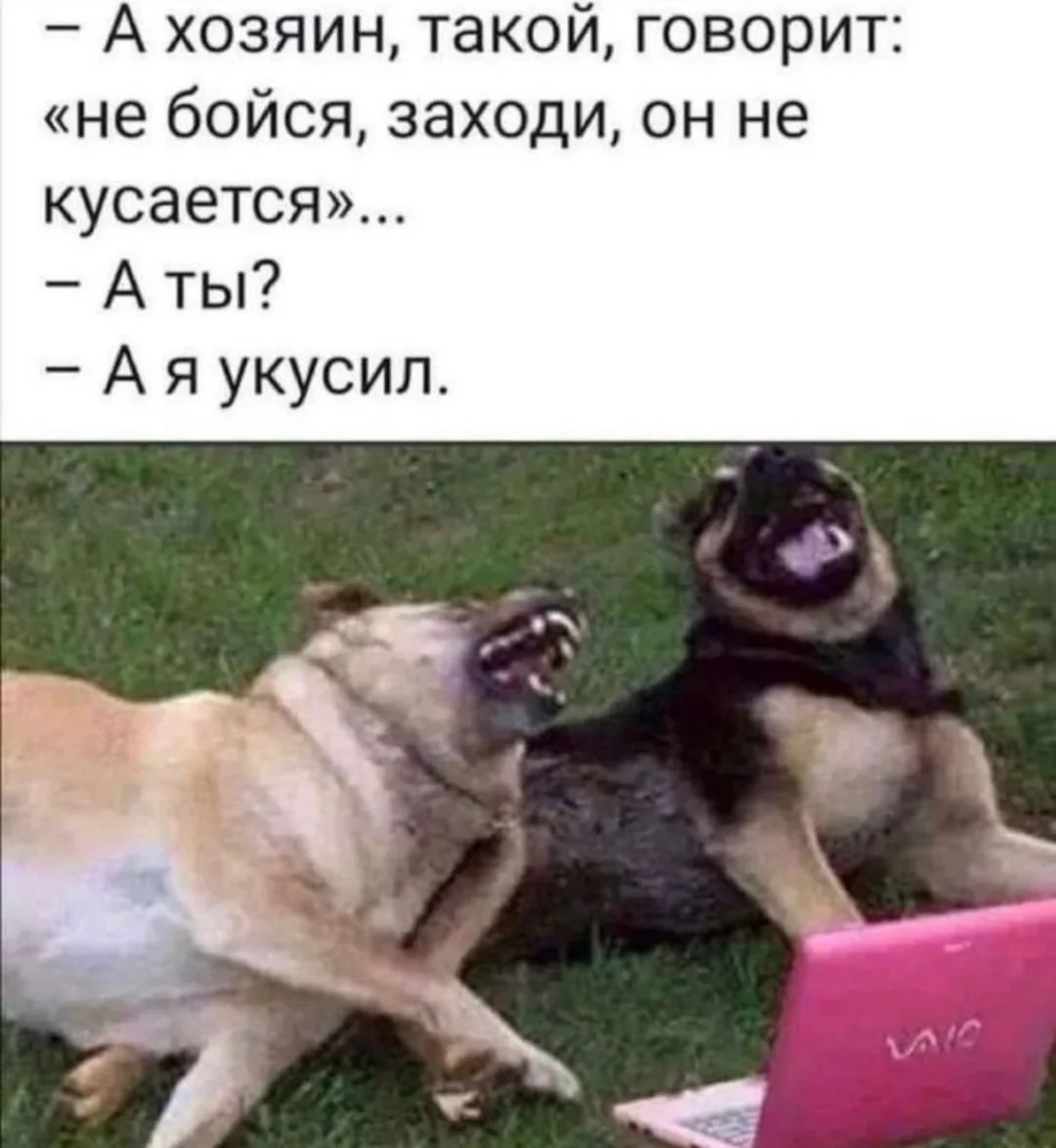 1000232355.webp